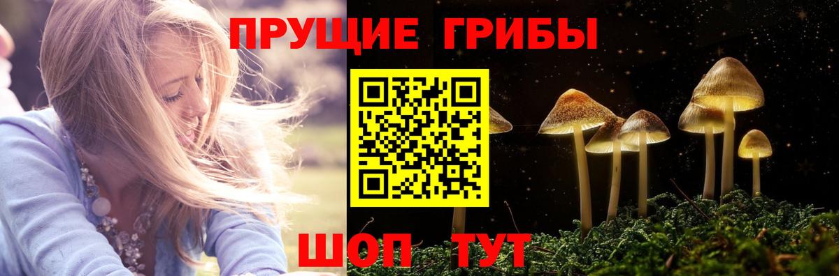 Галлюциногенные грибы MAGIC MUSHROOMS Мурино